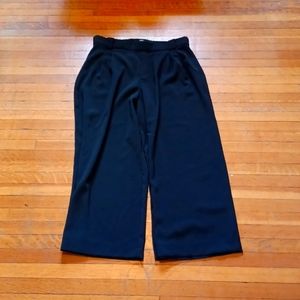 Zara Wide Legs Pants